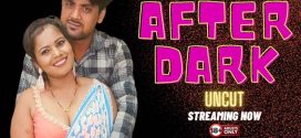 After Dark (2024) Hindi Uncut NeonX Short Film 720p Watch Online