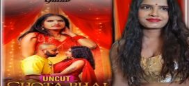 Chota Bhai Ka Mota (2024) S01E01 Hindi Gulab Hot Web Series 1080p Watch Online