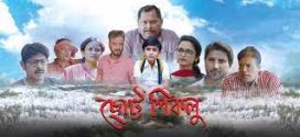 Chotto Piklu (2024) Bengali Dubbed (Unofficial) 1080p CAMRip Online Stream