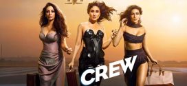 Crew (2024) Hindi PreDVDRip x264 AAC 1080p 720p 480p Download