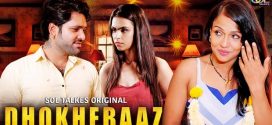 Dhokhebaaz (2024) S01E01-03 Hindi SolTalkies Web Series 1080p Watch Online