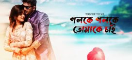 Poloke Poloke Tomake Chai 2024 Bangla Movie 720p WEBRip 1Click Download