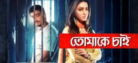 Tomake Chai 2024 Bengali Movie 720p WEBRip 1Click Download