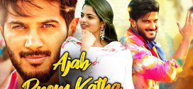 Ajab Prem Katha (Oypk) 2024 Hindi Dubbed Movie ORG 720p WEBRip 1Click Download