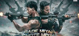 Bade Miyan Chote Miyan (2024) Hindi PreDVDRip H264 AAC 1080p 720p 480p Download
