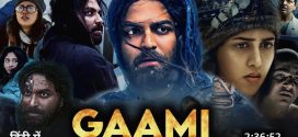 Gaami (2024) Tamil Dubbed CAMRip x264 AAC 1080p Download