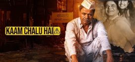 Kaam Chalu Hai 2024 Hindi Movie 720p WEB-DL 1Click Download