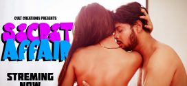 Secret Affair (2024) S01E01-03 Hindi CultFlix Hot Web Series 720p Watch Online