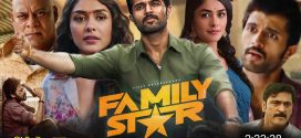 The Family Star (2024) Dual Audio [Hindi HQ-Telugu] HDTS H264 AAC 1080p 720p 480p Download