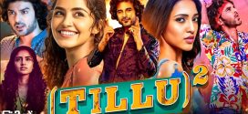 Tillu Square (2024) Dual Audio [Hindi HQ-Telugu] HDTS H264 AAC 1080p 720p 480p Download