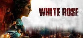 White Rose (2024) Bengali Dubbed (Unofficial) 1080p CAMRip Online Stream