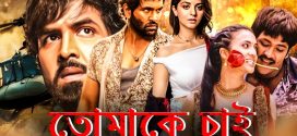 Tomake Chai 2024 Bengali Dubbed Movie ORG 720p WEBRip 1Click Download